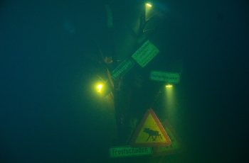 _DSC9865