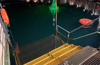 IMG_9919